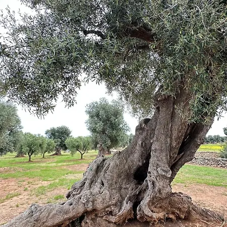 Σπίτι διακοπών Casa Levante In Centro *